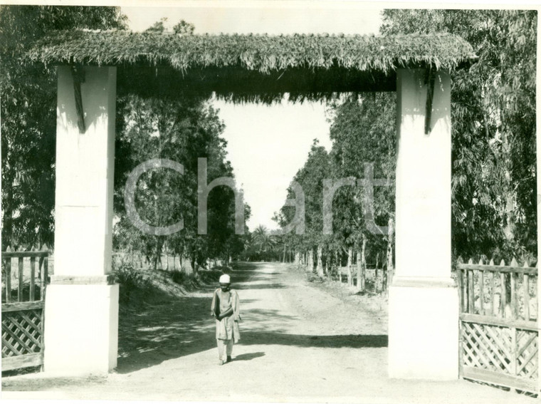 1937 TRIPOLI (LIBIA) Ingresso di concessione agricola *Foto ANIMATA