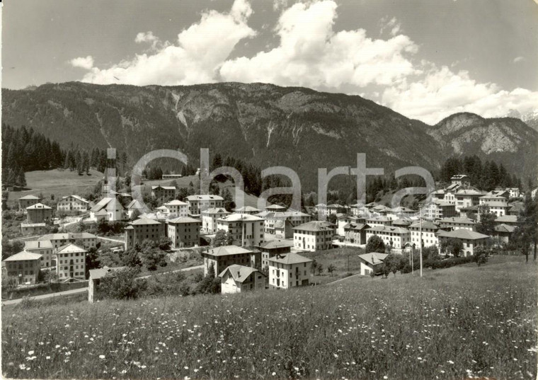 1969 VIGO DI CADORE (BL) Veduta panoramica del paese *Cartolina FG VG