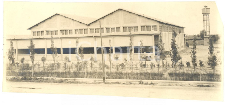 1930 ca MASSA LOMBARDA Stabilimento ortofrutta BORGNINO