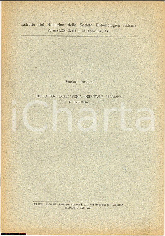 1938 EDOARDO GRIDELLI Coleotteri in AOI entomologia