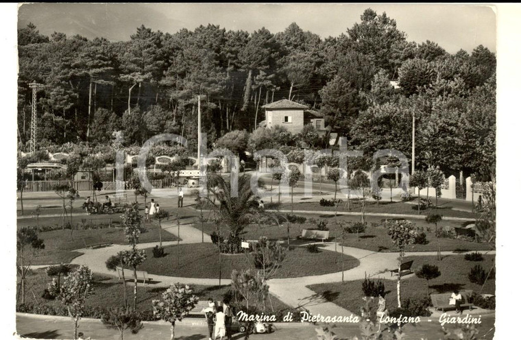1960 TONFANO / MARINA DI PIETRASANTA (LU) Veduta dei giardini *Cartolina FG VG