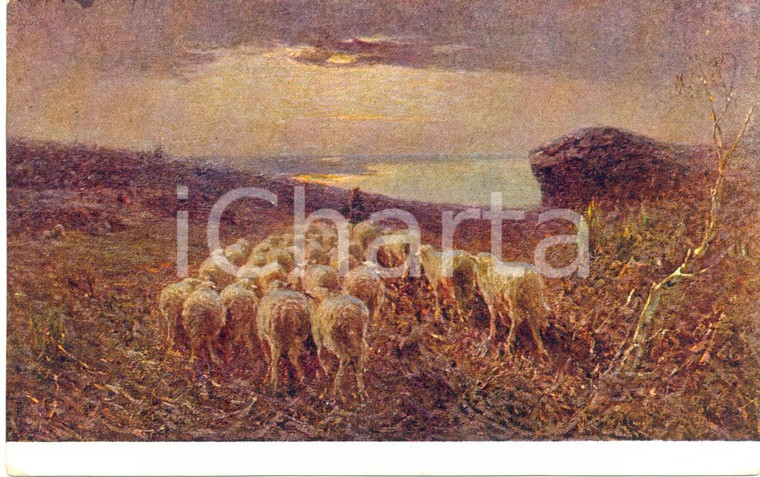 1917 Achille TOMINETTI - Le pecore *Cartolina postale riproduzione dipinto FP VG
