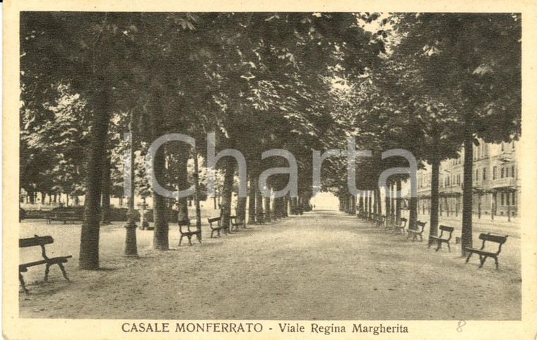 1940 CASALE MONFERRATO (AL) Veduta di Viale REGINA MARGHERITA *Cartolina FP VG