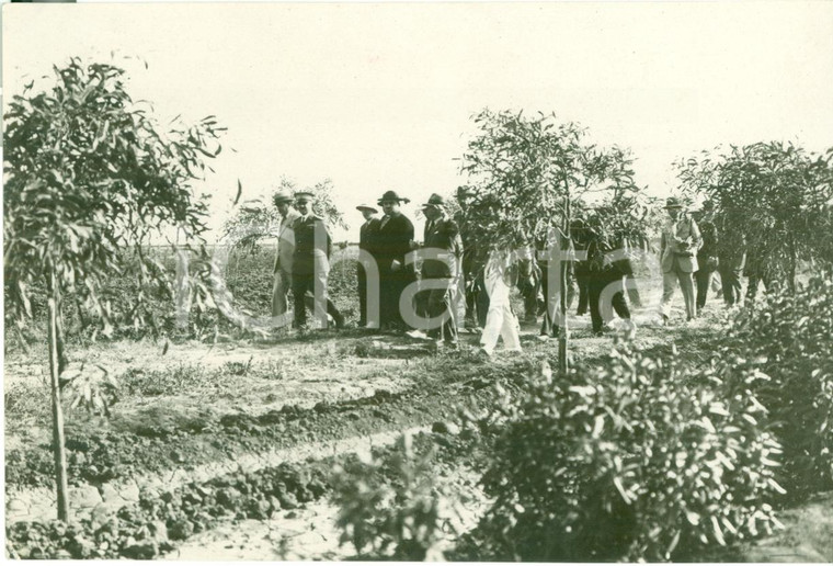 1929 BENGASI (LIBIA) Vescovo Bernardino BIGI Domenico SICILIANI festa del grano