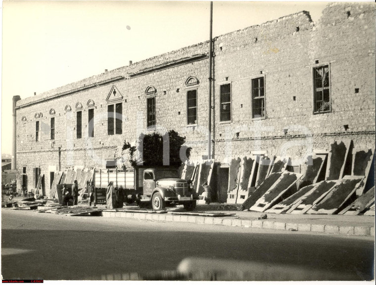 1955 IL CAIRO pelli di cammello al sole - artistica