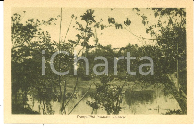 1930 ca VALONA (ALBANIA) Tranquillità insidiosa di una palude *Cartolina FP NV
