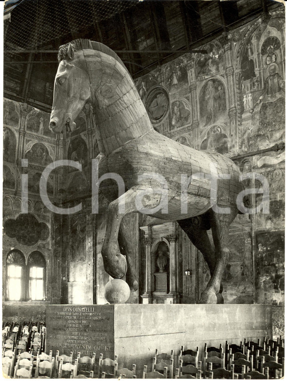 1939 PADOVA Il Cavallo di legno a Palazzo della Ragione *Fotografia