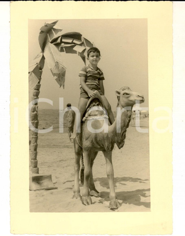 1955 MOTRONE / PIETRASANTA (LU) Bambino su un cammello-giocattolo *Foto VINTAGE