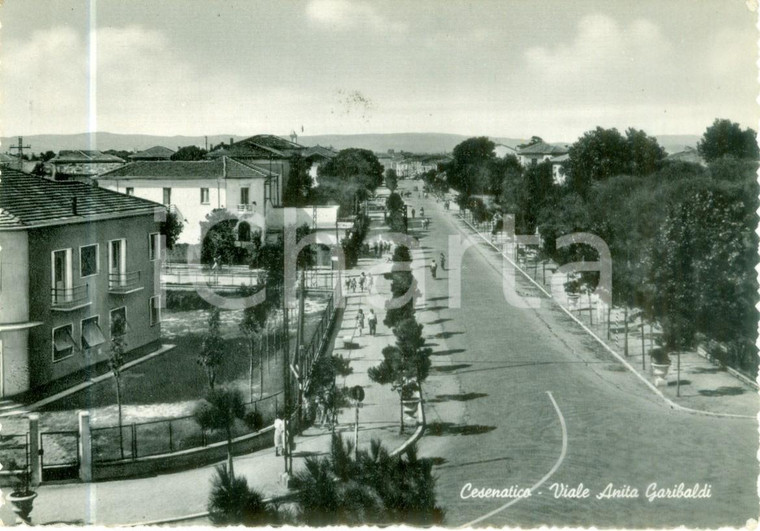 1952 CESENATICO (FC) Veduta di Viale Anita GARIBALDI *Cartolina FG VG