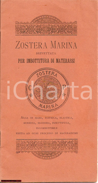 1892 GENOVA ZOSTERA MARINA Opuscolo Costante PIAZZA