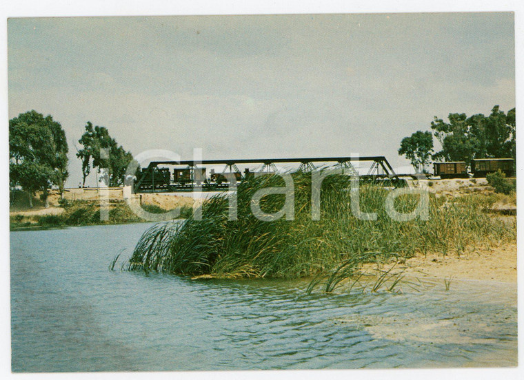 1975 ca AGRIGENTO Ferrovia CASTELVETRANO-RIBERA Ponte sul BELICE Cartolina FG NV