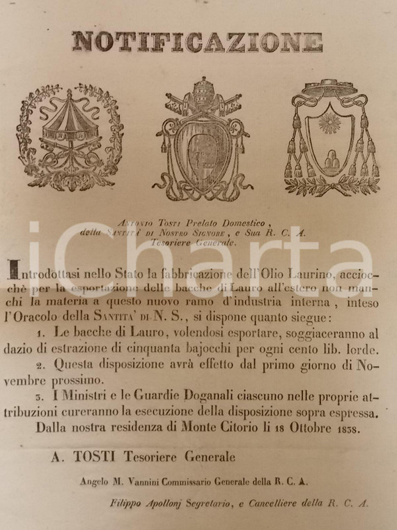 1838 STATO PONTIFICIO ROMA Dazio su esportazione bacche di lauro *Manifesto