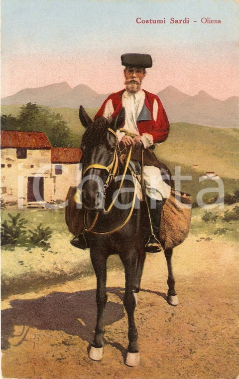 1920 circa OLIENA (NU) Uomo a cavallo in costume tradizionale *Cartolina FP NV
