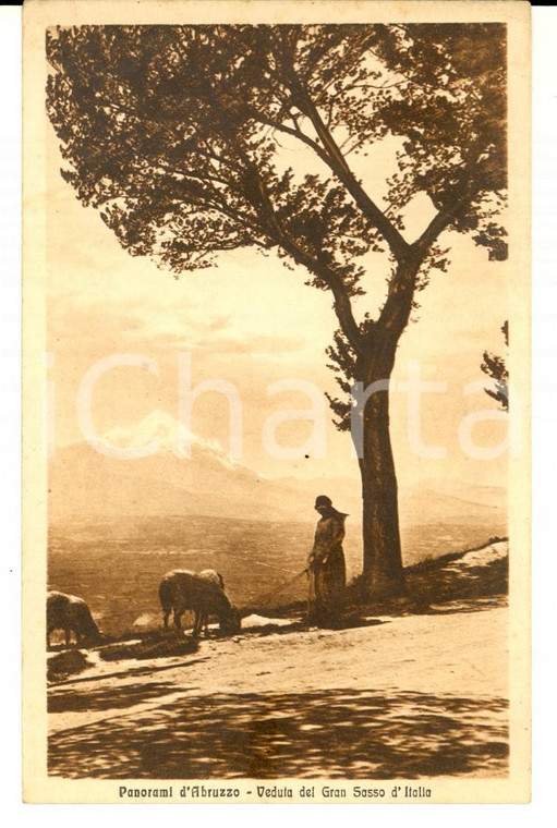 1920 ca COSTUMI ABRUZZO Donna al pascolo con GRAN SASSO sullo sfondo *Cartolina