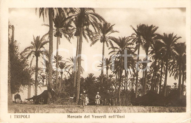 1925 ca TRIPOLI (LIBIA) Guerra ITALO-TURCA Mercato del venerdì nell'oasi ANIMATA