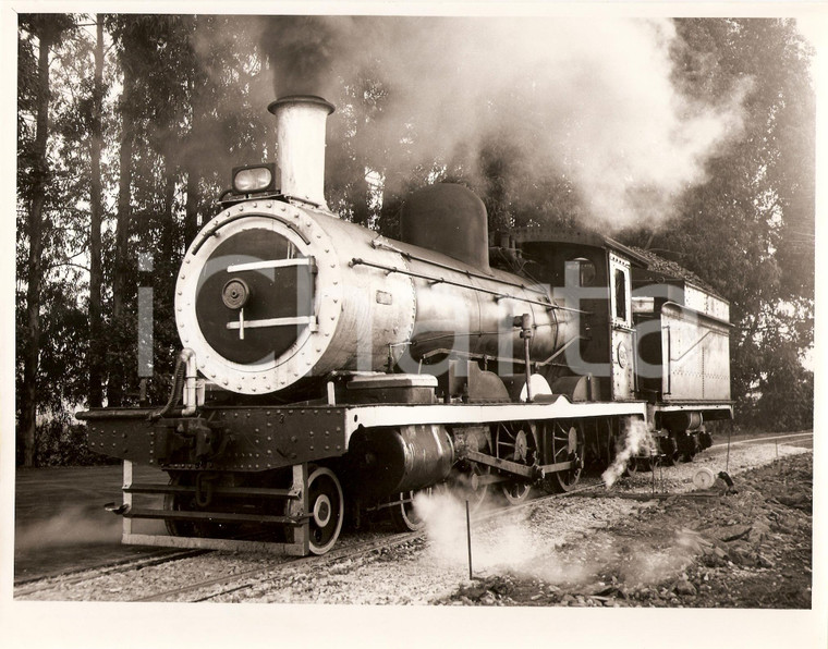 1970 ca SOUTH AFRICA SAR Locomotiva a vapore Class 6 432  *Fotografia