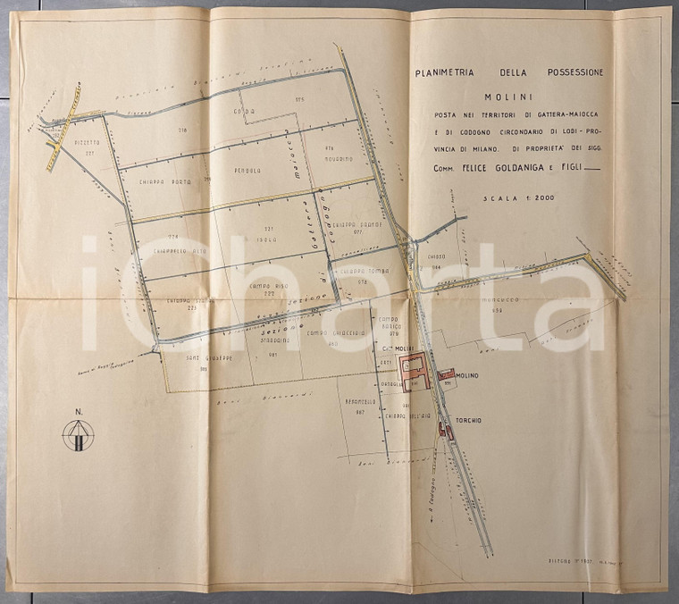 1942 CODOGNO (LO) Possessione MOLINI di Felice GOLDANIGA *Planimetria 70x65