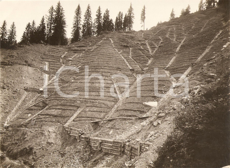 1930 VAL PESARINA (UD) Rimboschimento del Rio SCURO