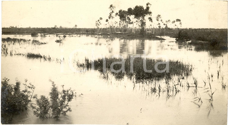 1931 CONSORZIO BONIFICA ARNEO Terreni allagati prima della bonifica *FOTOGRAFIA