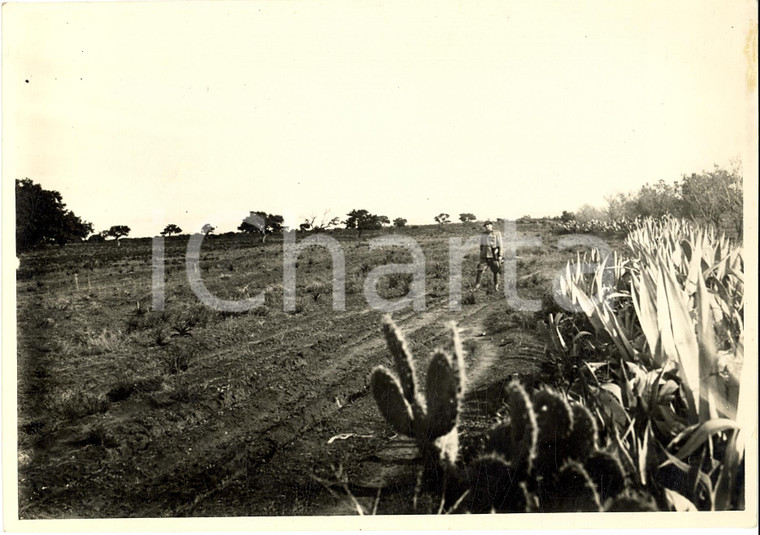 1939 CATANIA Trasformazioni suolo rurale Foto ANIMATA