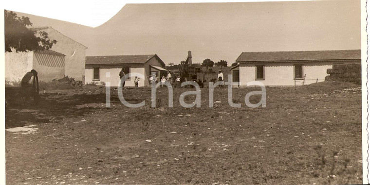 1933 SILIGO (SS) Bonifica altipiano *Case degli operai *Fotografia