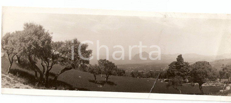 1937 ERICE (TP) Panorama dal monte sul monte COFANO *Vera FOTOGRAFIA