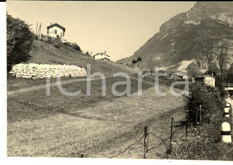 1960 FAE' / BELLUNO Veduta panoramica *Fotografia ARTISTICA 10x7 cm