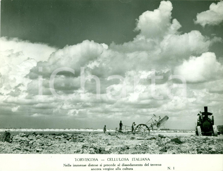 1940 ca TORVISCOSA (UD) Cellulosa Italiana Operai dissodano terra vergine *FOTO