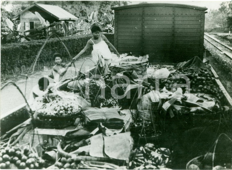 1940 ca THAILANDIA Treno - bancarella per mercato della frutta *Fotografia
