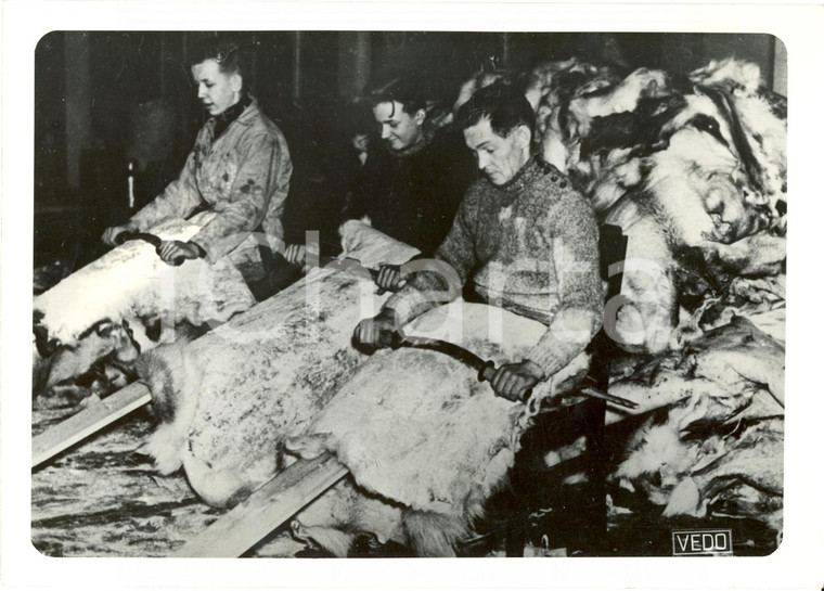 1940 FINLANDIA WW2 Operai preparano pellicce per soldati *FOTOGRAFIA