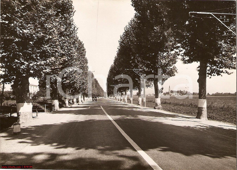 1935 Mogliano Veneto *Auto su nuovo asfalto Pontebbana