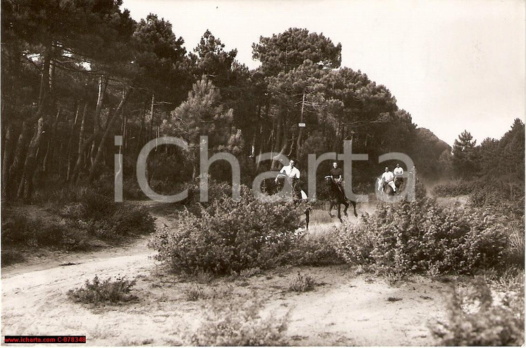 1935 VIAREGGIO A cavallo nella pineta VERA FOTO