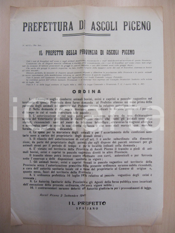 1947 ASCOLI PICENO Ordini contro diffusione BRUCELLOSI *Manifesto