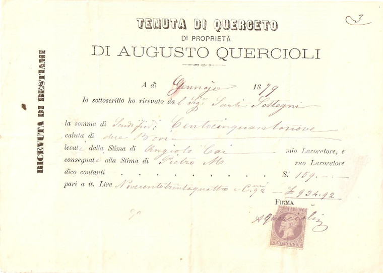 1899 GREVE DI CHIANTI (FI) Tenuta QUERCETO Proprietà Augusto QUERCIOLI *Ricevuta