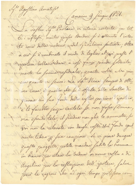 1821 CAMERINO (MC) PICCHI felici per trattativa BARDINI