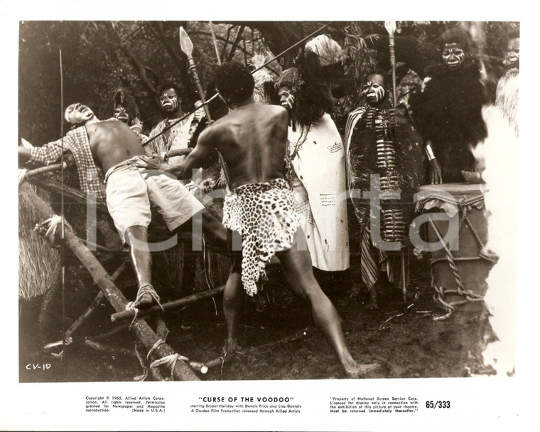 1965 CURSE OF THE VOODOO Rito con sacrificio umano Regia Lindsay SHONTEFF *Foto