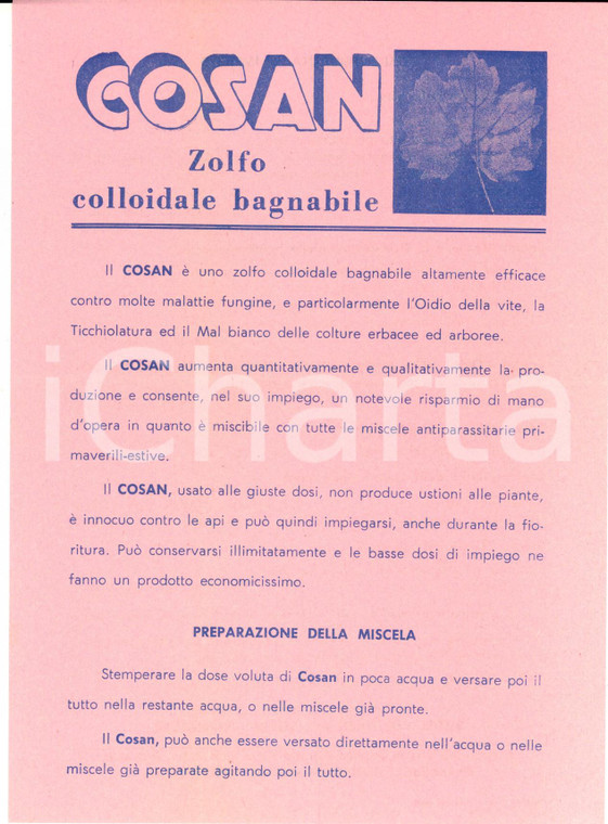 1959 ROMA Ditta SIAPA - Zolfo colloidale bagnabile COSAN Volantino pubblicitario