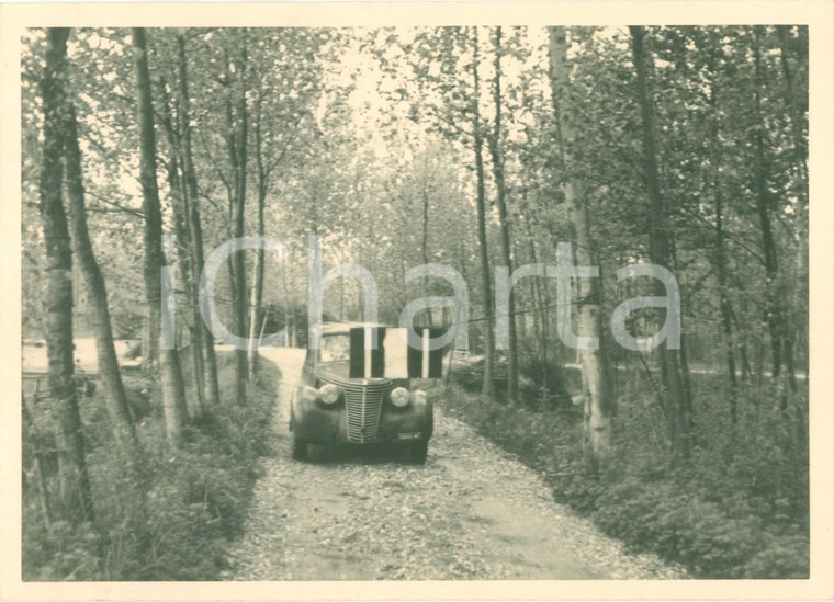 1950 VIGEVANO (PV) FIAT 508C Nuova Balilla 1100 persa in un bosco *FOTOGRAFIA