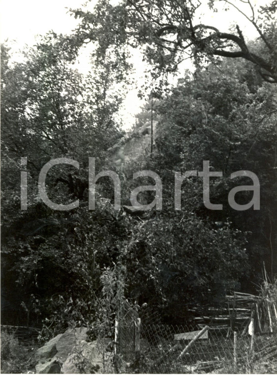 1980 ca ZAVATTARELLO (PV) Frana nel bosco sotto il Castello DAL VERME *Foto