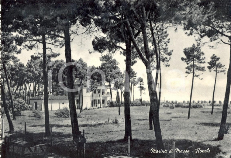 1950 ca MASSA Panorama della frazione RONCHI *Cartolina postale FG NV