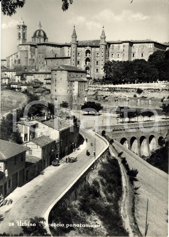1950 ca URBINO Scorcio panoramico città e palazzo ducale *Cartolina ANIMATA NV