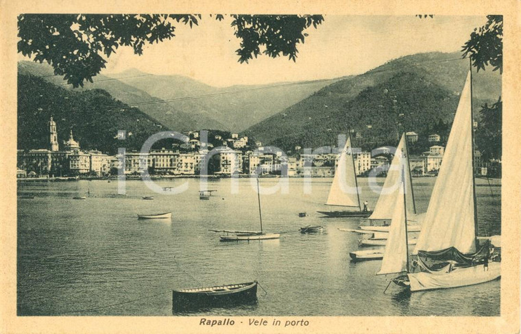1937 RAPALLO (GE) Veduta panoramica con vele in porto *ANIMATA FP VG