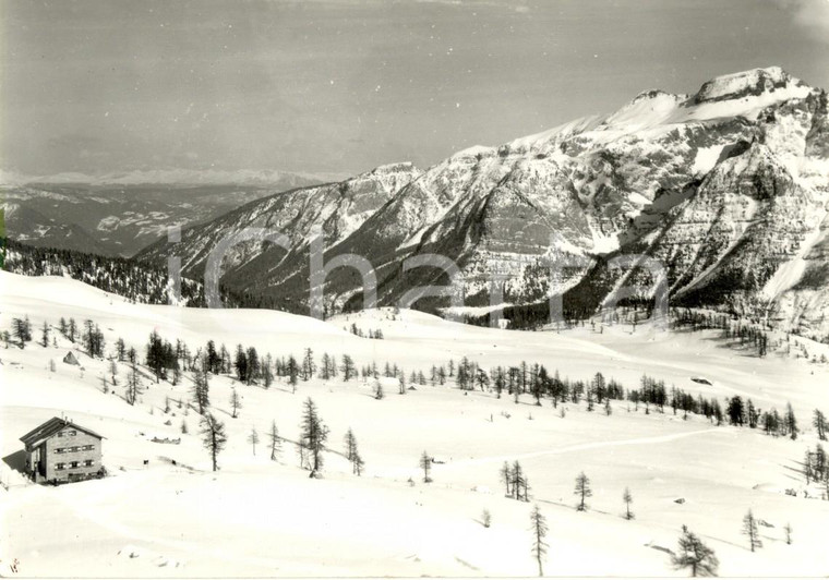 1950 ca MADONNA DI CAMPIGLIO (TN) Rifugio Silvio AGOSTINI a PRADALAGO *Cartolina