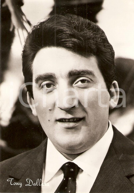 1965 ca MUSICA Tony DALLARA Ritratto fotografico *Cartolina postale FG NV (3)