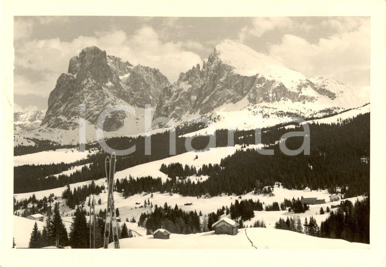 1965 ALPE SIUSI (BZ) Veduta del Gruppo SASSOLUNGO *Cartolina postale FG VG