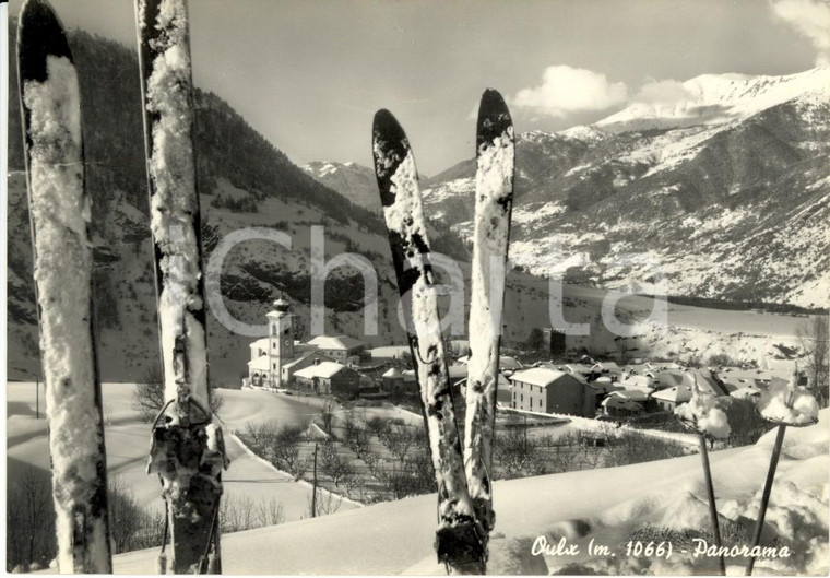 1955 OULX (TO) Panorama del paese e della vallata *Cartolina postale FP VG