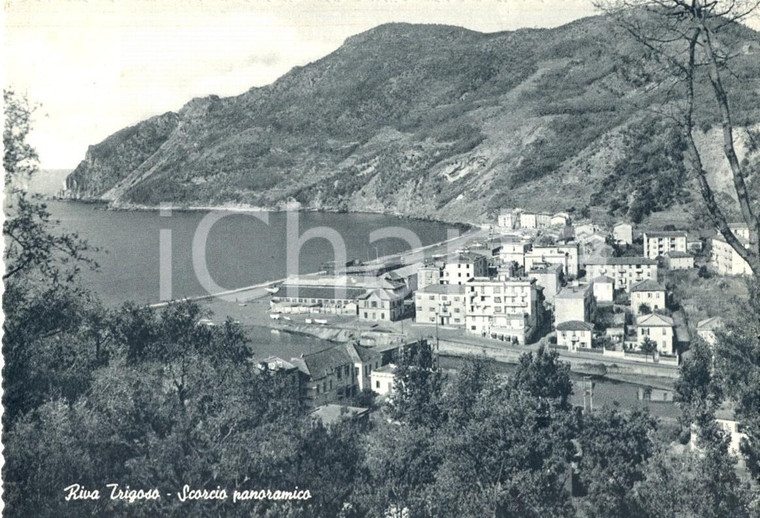 1955 SESTRI LEVANTE (GE) Panorama della frazione RIVA TRIGOSO *Cartolina FG VG