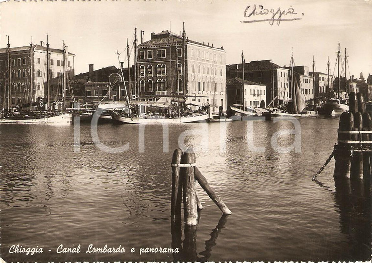 1950 CHIOGGIA (VE) Panorama su CANAL LOMBARDO *Cartolina FG VG