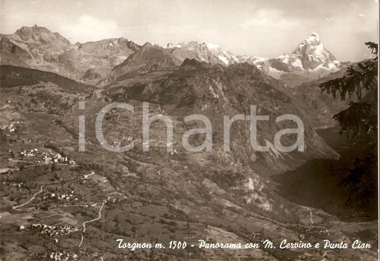 1955 ca TORGNON (AO) Monte Cervino e PUNTA CIAN Panorama *Cartolina FG NV