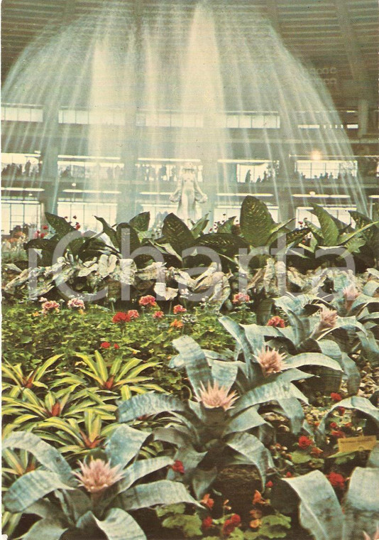 1976 GENOVA Fiera EUROFLORA Fontana ed esposizione floreale *Cartolina FG NV